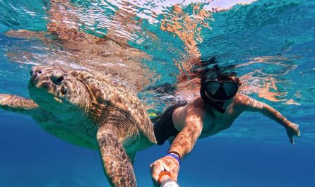 Почивка в Марса Алам, Египет със самолет от София – 7 нощувки